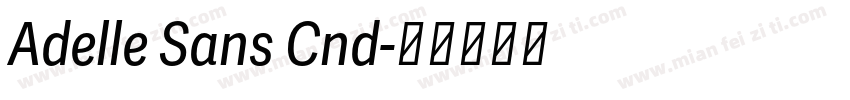 Adelle Sans Cnd字体转换